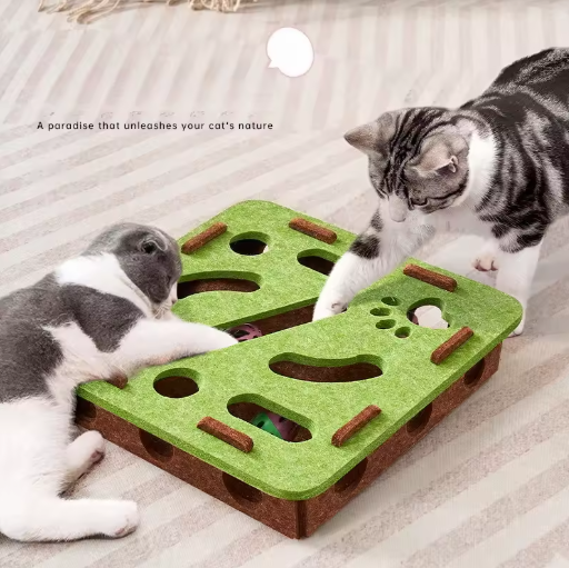 Scratching Posts and Toy Entertainment For Indoor Cats